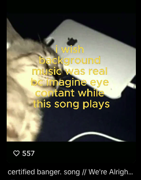 WonderBag post across jagger's music pages