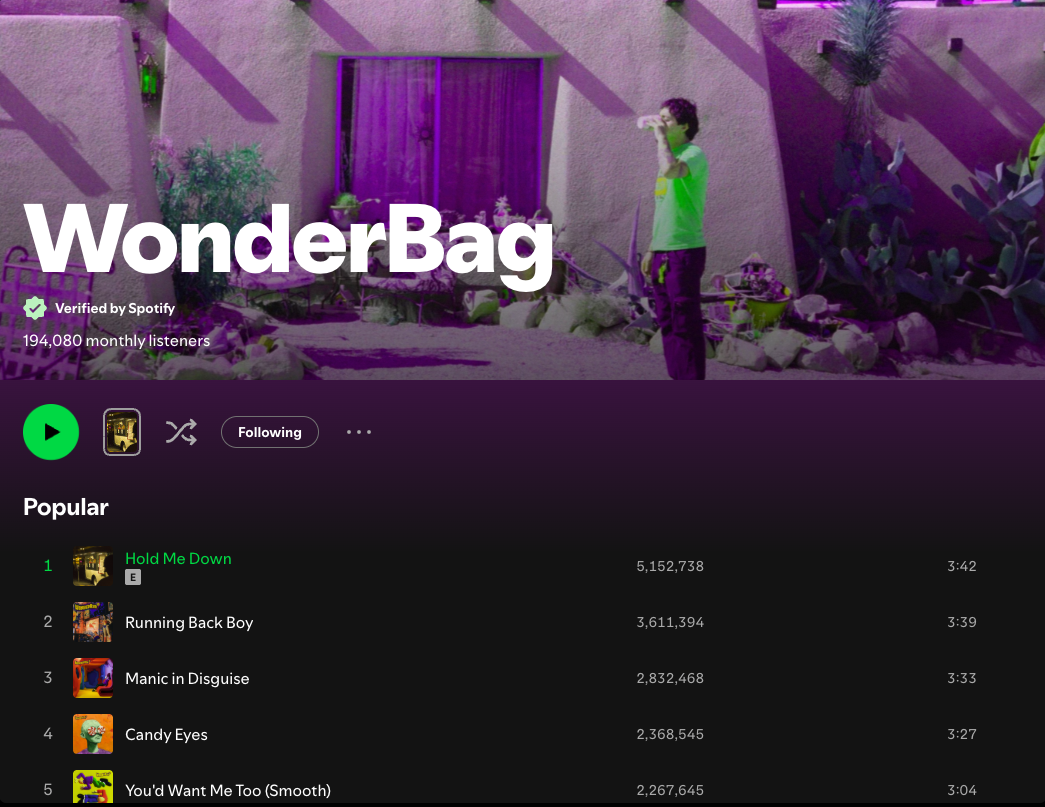 WonderBag's verified Spotify page showing 194,080 monthly listeners